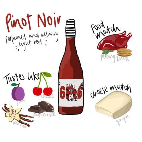 Pinot Noir - 6 facts you need to know