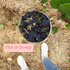 make-your-own-rose